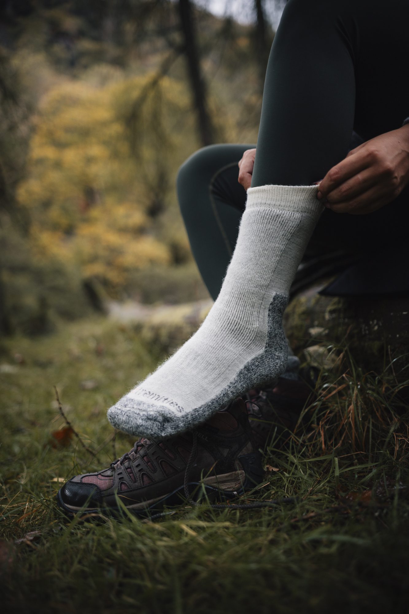 Terra Nova Essential Mountain Toester Sock chaussettes taille L mérinos
