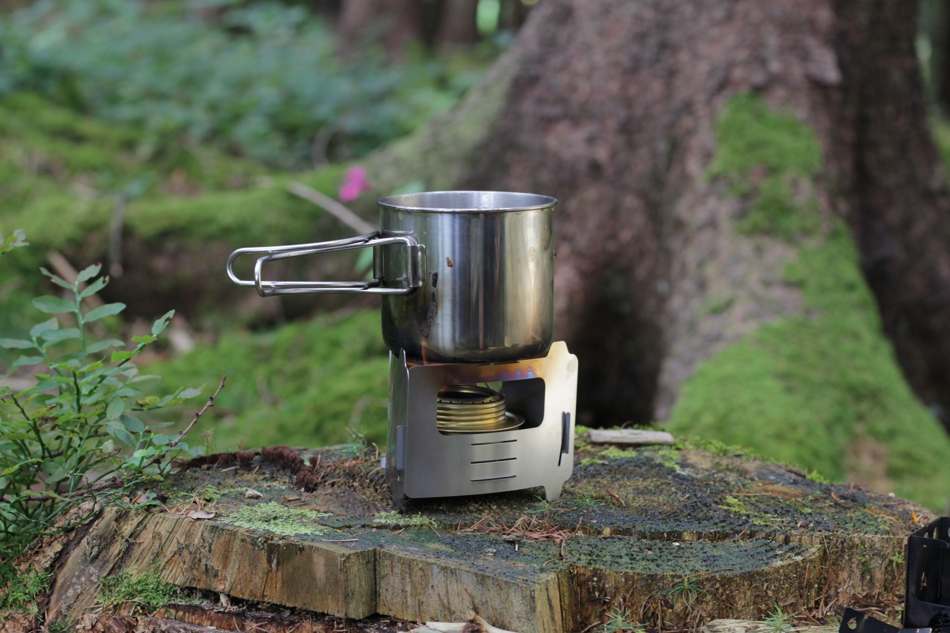 Bushcraft Essentials Bushbox Ultralight réchaud bois 60g