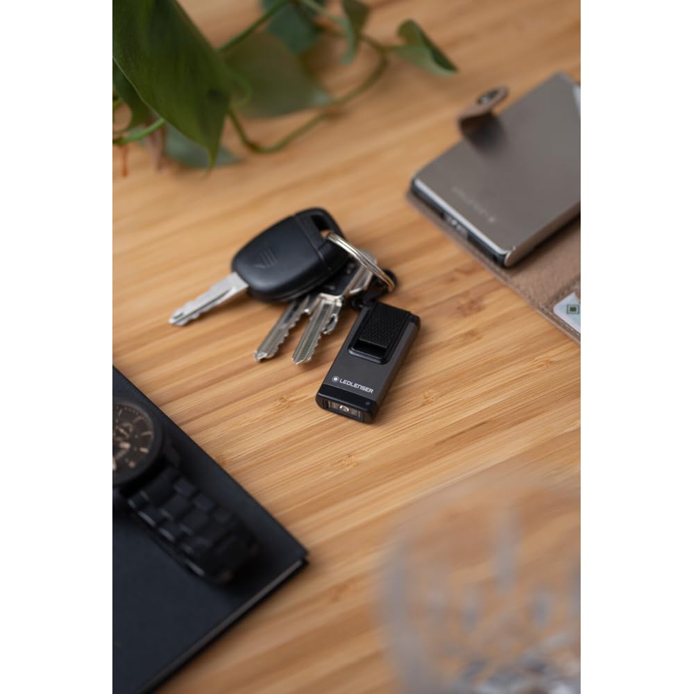 Ledlenser K4R Grau mini lampe porte-clés 120 lm USB