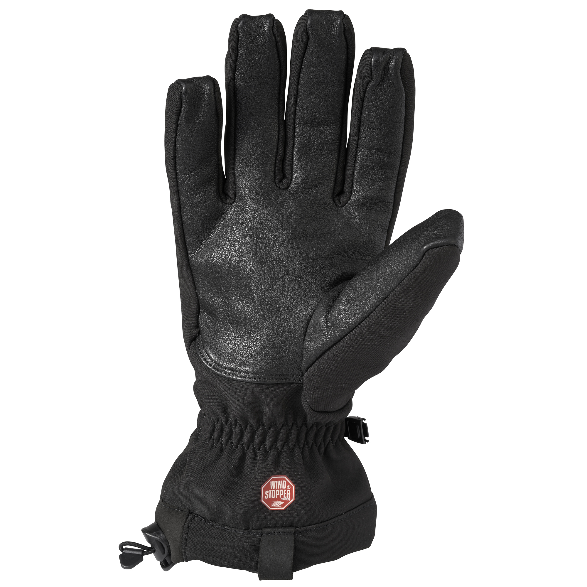 Terra Nova Extreme Tactical GORE-TEX gants cuir hiver