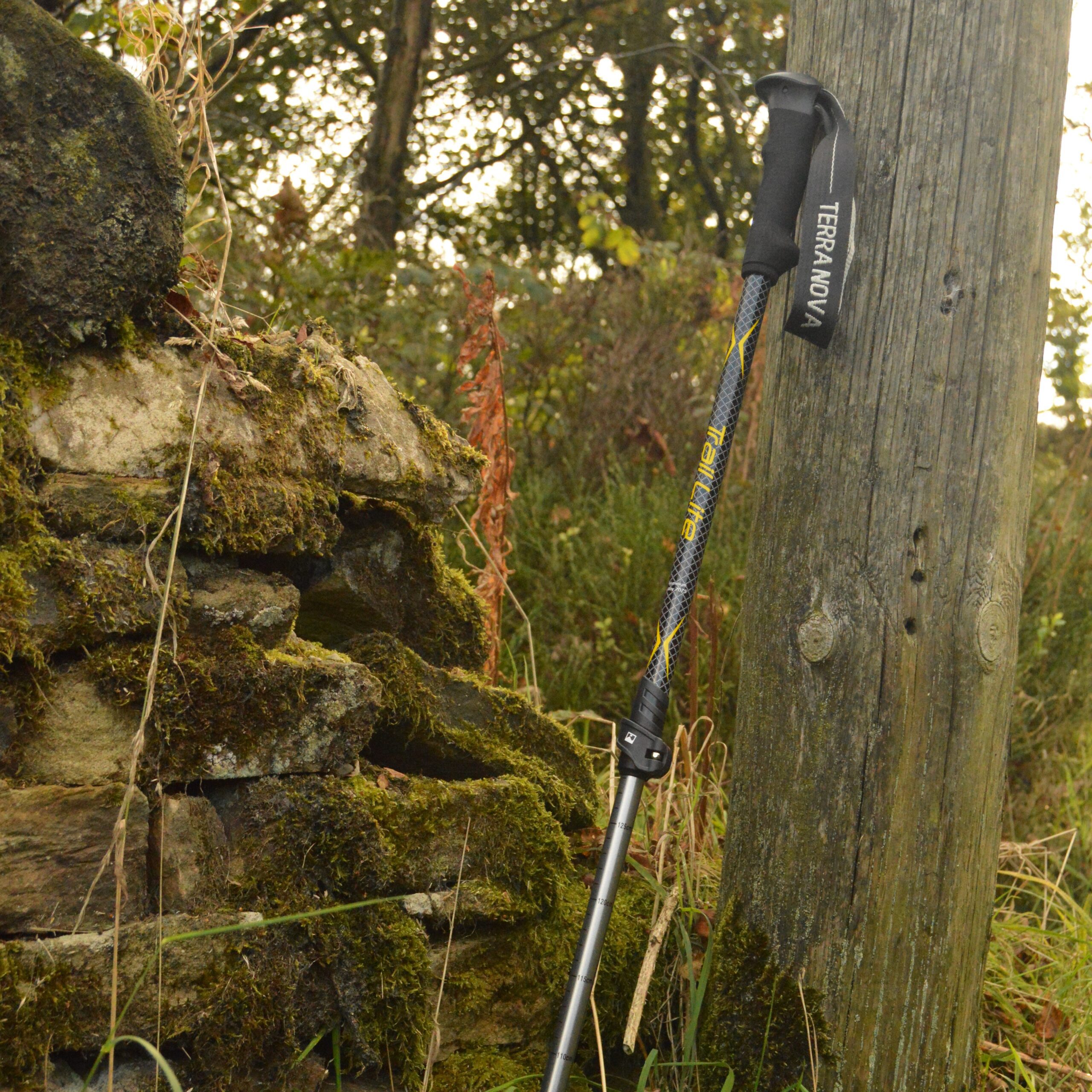 Terra Nova Trail Lite bâtons de randonnée alu 7075 paire