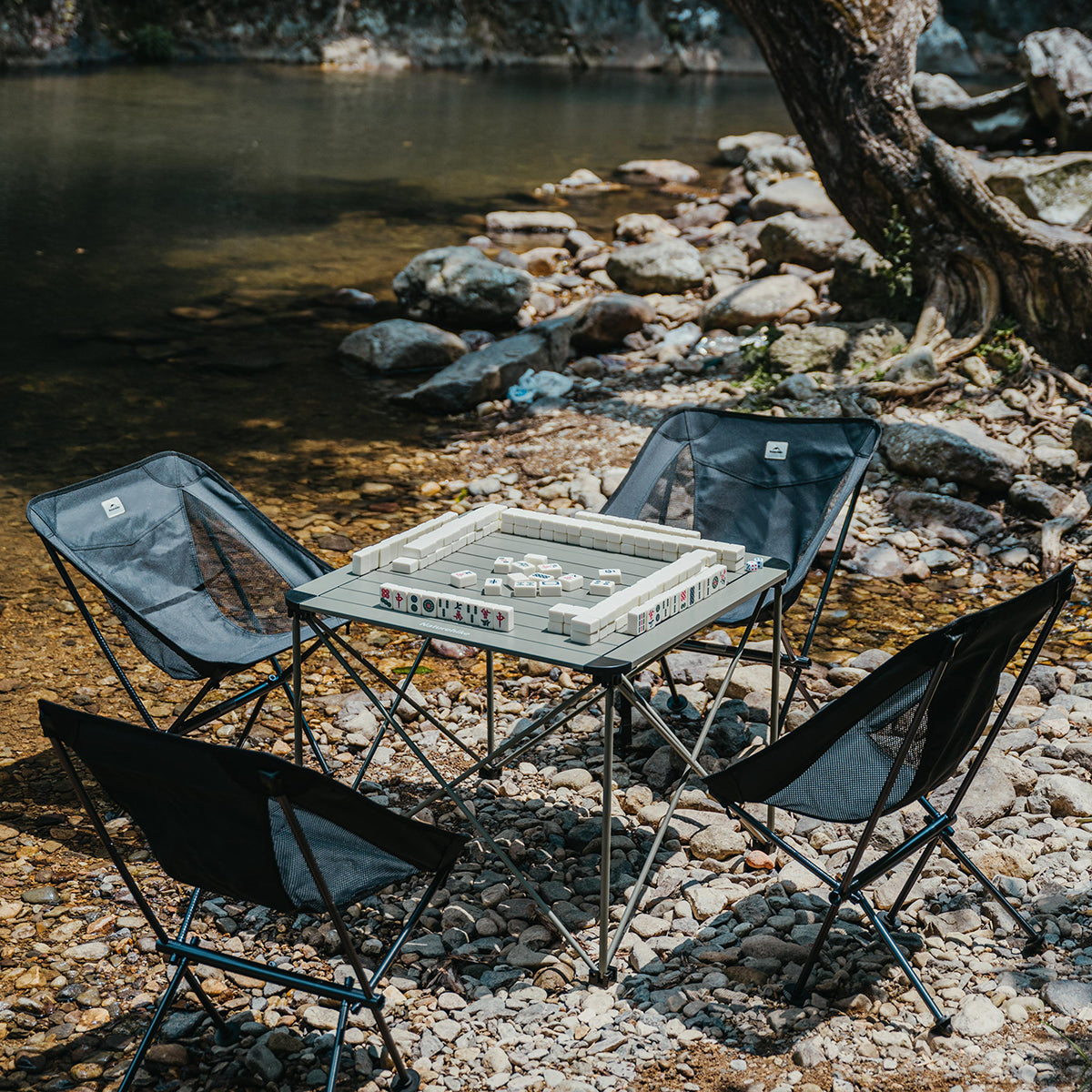 Naturehike PeakLite L02 table camping pliante verte M 100 kg