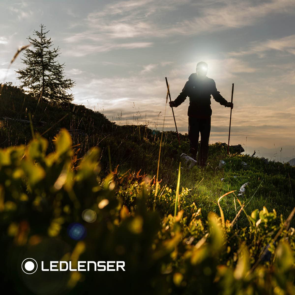 Ledlenser H15R Core lampe frontale rechargeable 2500 lm 250 m