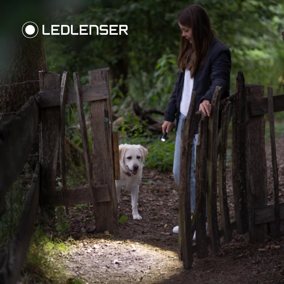 Ledlenser P3 Core mini lampe torche LED 90 lm 110 m AAA