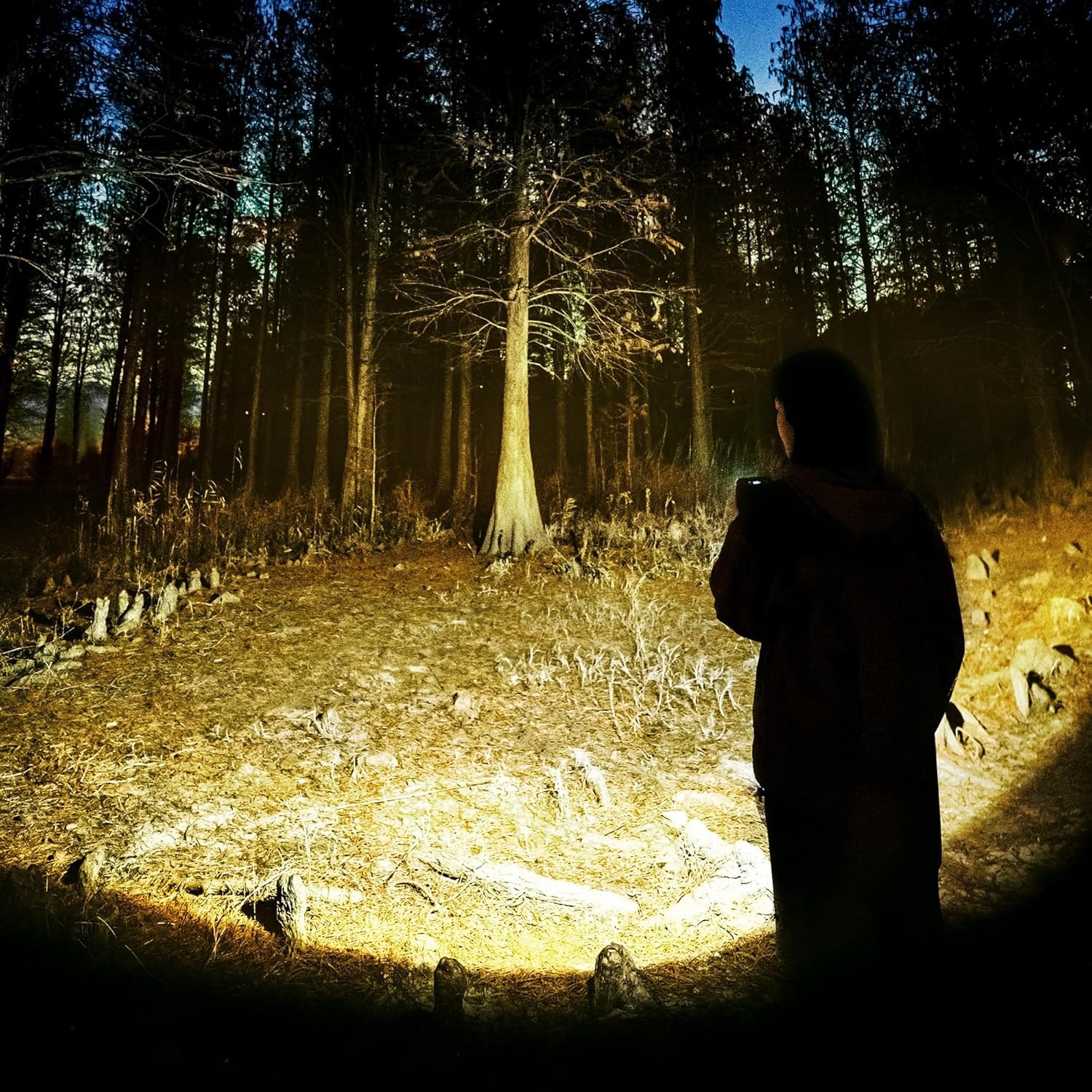 Naturehike Lampe LED 1200 Lumens Rechargeable Étanche