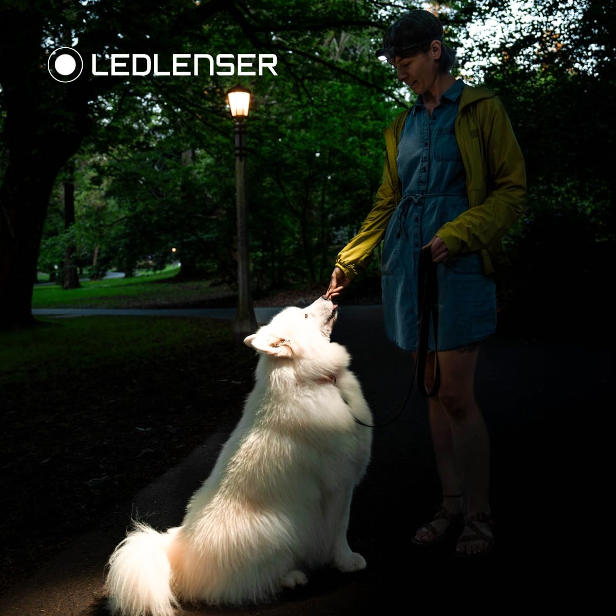 Ledlenser HF4R Core lampe frontale 500 lm rechargeable
