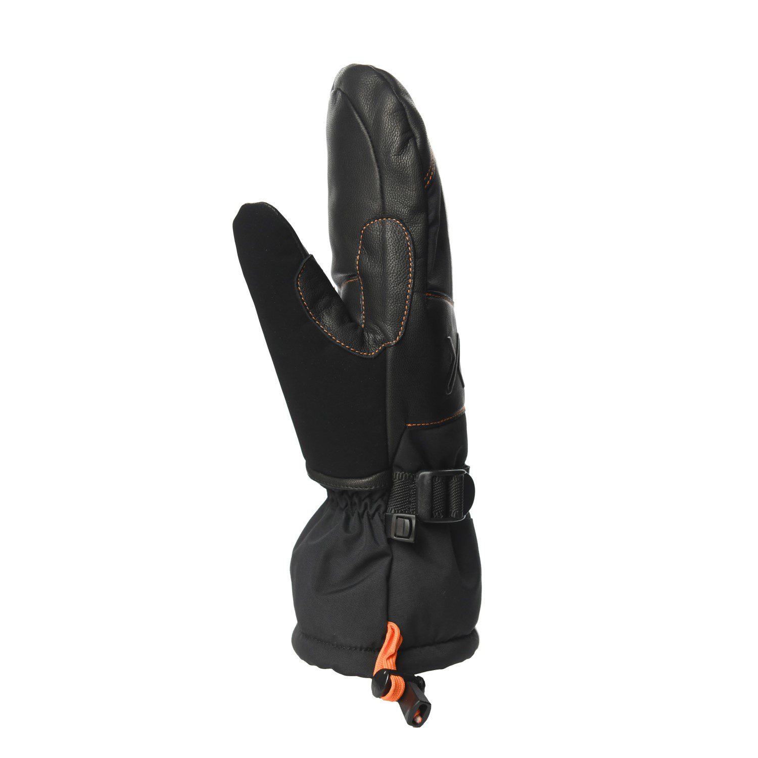 Terra Nova Extreme Meridian Mitts moufles cuir imperméable
